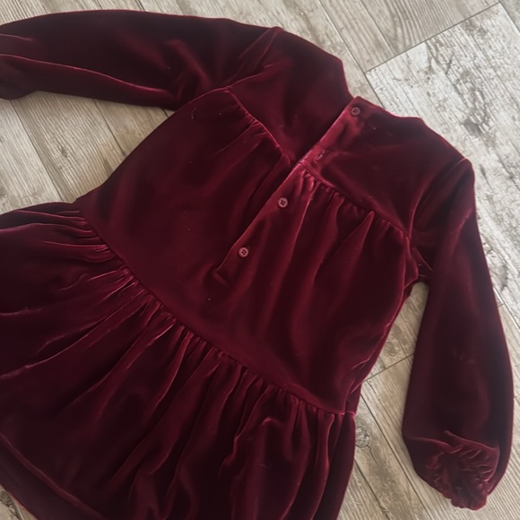 Velour Toddler Dress - Picture 5 of 5